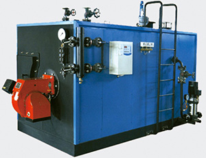 Horizontal Gas Steam Boiler