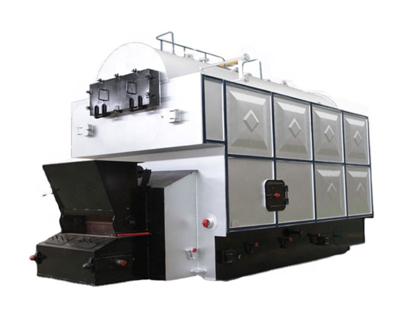 DZL Coal Fired Biomass Steam Boiler