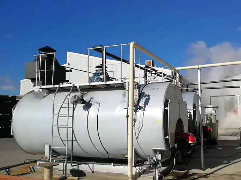 Australia gas steam boiler